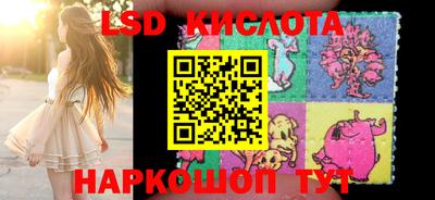 мдпв Донской