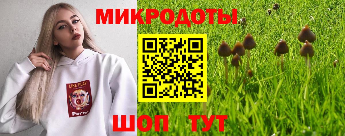 Кисловодск  Псилоцибиновые грибы мухоморы  наркошоп  Вход с VPN 